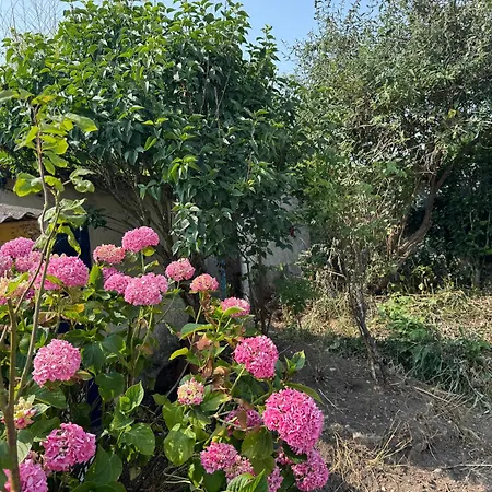Maison Dans Village Calme A La Сasa de vacaciones *